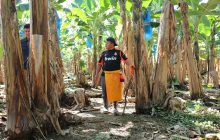 El programa, hasta la fecha, ha brindado atención médica a 753 personas. Foto: Cortesía