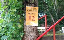 Cerro Ancón representa un pulmón verde clave dentro de la ciudad de Panamá. Foto: Cortesía