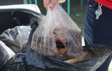 Tras la inspección correspondiente, los funcionarios comprobaron que los productos cárnicos que estaban a punto de ser vendidos no eran aptos para el consumo humano. Foto. Melquíades Vásquez