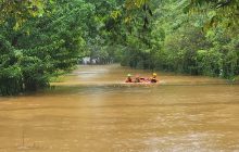 Pese a los esfuerzos realizados, se confirmó su fallecimiento en el sitio, provocando escenas de profundo dolor entre sus seres queridos.