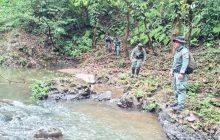 Las autoridades procedieron con la aprehensión inmediata y los implicados fueron puestos a órdenes del Ministerio Público para el trámite correspondiente.