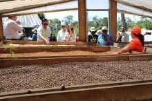 Una de las fincas visitadas por los extranjeros, en provincias centrales. Foto: Cortesía
