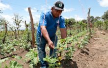 La recuperación del BDA continúa a buen ritmo en el 2026. Foto: Cortesía