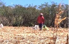 De acuerdo con los voceros del sector, la deuda acumulada por parte del Estado oscila entre 8 y 10 millones de dólares. Foto. Thays Domínguez