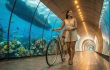 “The Canal Underline” presentado por la Alcaldía de Panamá. Foto: Cortesía