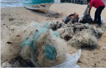 En 2025, la ARAP comenzó a instalar contenedores en puntos específicos del país para el descarte de redes por parte de los pescadores.