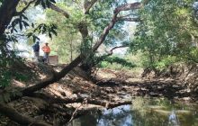 En la actualidad, las cosechas de maíz, cebolla, ají y tomate están en su fase vegetativa; por esta razón, necesitan un abastecimiento continuo de agua.