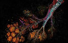 El cáncer de mama es el más común entre las mujeres. Foto: EFE