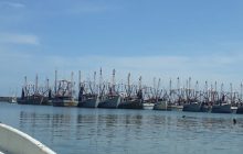 Con la entrada en operación del Centro de Seguimiento Pesquero y Vigilancia Satelital, el país avanza hacia la trazabilidad total de las capturas, un elemento crucial para fortalecer las exportaciones de productos del mar. Foto. Eric Montenegro