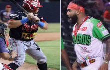 Chiriquí y Panamá Oeste. Foto: Fedebeis