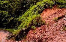 Los funcionarios del Sinaproc, atendieron dos deslizamientos y caída de árboles a la altura de quebrada Pera, en Veraguas. Foto. Sinaproc