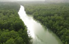 Las comunidades fortalecieron su compromiso con la protección del territorio. Foto: FAO/Cortesía
