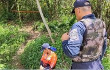 El rostro del hombre estaba cubierto por picaduras de abejas, confirmó Nieto.