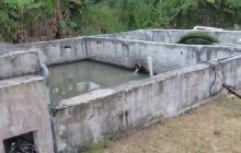 Solicitan la implementación formal de un plan de operación y mantenimiento, con registros verificables; una evaluación y certificación de los parámetros de calidad del agua tratada