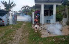 En febrero de 2026 se registró el primer caso de muerte por dengue en la provincia de Coclé.