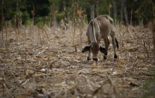 Los fenómenos climáticos extremos seguirán ocurriendo.