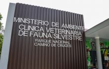 La entidad informó que se estarán reforzando los protocolos internos de atención. Foto: Cortesía