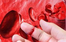 Panamá presenta sus primera guías nacionales para la hemofilia, fortaleciendo un diagnóstico temprano.