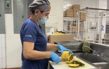 La CCS distribuye más de 11,000 raciones de comida diarias en hospitales. 