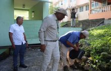 Operativos casa por casa reducen casos de dengue en San Miguelito.
