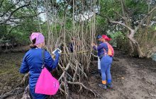 Exploración del área. Foto: Diomedes Sánchez