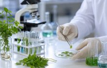 El equipo seleccionó 164 especies con escasa información previa sobre su composición química.