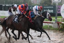 Nueve balanceadas carreras habrá en el Hipódromo Presidente Remón. Foto: Omar Yerar Batista