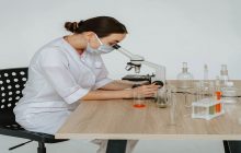 Los investigadores bloquearon la señal molecular. Foto: Pexels