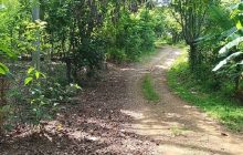 La carretera en disputa, de forma continua por más de 90 años y constituye un enlace vital para el desarrollo social y económico de toda la región. Foto. Melquíades Vásquez