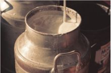 Los productores de leche se han visto afectados en los últimos años y este sería un nuevo golpe. Foto ilustrativa