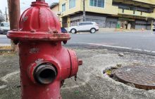 La provincia de Panamá Oeste mantiene un registro de 2,233 hidrantes, según datos oficiales extraídos del IDAAN.  Foto. Eric Montenegro
