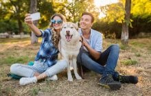 La tendencia Pet parenting refleja como jóvenes invierten cada vez más en servicios veterinarios y cuidados para sus mascotas. 