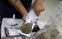 Panamá produjo cerca del 50 % de lo que normalmente produce. Foto: EFE