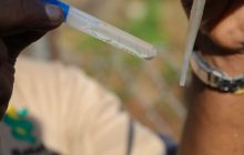 El Minsa recomienda eliminar los criaderos de mosquitos. Foto: Cortesía