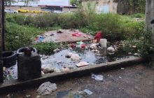 Se espera que las juntas comunales realicen trabajos de recolección de basura y limpieza en las comunidades. Foto: Diomedes Sánchez