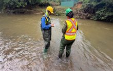 Especialistas evalúan la calidad del agua.
