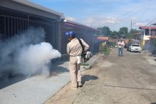 Los tres corregimientos con más casos se ubican en Arraiján, Colón y Panamá Este. Foto: Cortesía Minsa