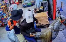 Los asaltantes utilizaron un caballo para la huida después del asalto. Foto mejorada con IA