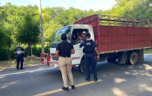 Las acciones representan un severo golpe a las estructuras delictivas que operan en la región de Azuero. Foto. Thays Domínguez