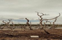 El fenómeno de El Niño se intensificará en los próximos meses, elevando el riesgo de sequías, inundaciones y olas de calor en distintas regiones del mundo.