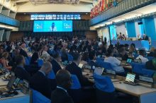 Vista de una de las sesiones del Comité de Pesca de la FAO. Foto: Cortesía