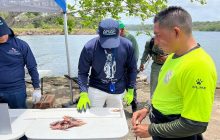 La actividad se desarrollará desde las 8:30 a.m., como parte de las actividades del Mes de los Océanos 2026. Foto: Diomedes Sánchez