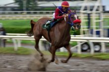Wonder Lady  ganó claramente el clásico Sociedad de Dueños de Caballos. Foto: Boris Valdivieso
