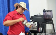 En cuanto al panorama productivo, la proyección de siembra y cosecha 2026-2027 de la Dirección de Agricultura del Ministerio de Desarrollo Agropecuario (MIDA) en la Región 5 de Capira señala una producción estimada de 11,622 quintales de café Robusta. Foto. Eric  Montenegro