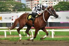  Dandy del Peligro fue superior. Fotos Boris Alberto Valdivieso