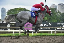 Macho Mule se impuso con autoridad. Foto: Boris Valdivieso.