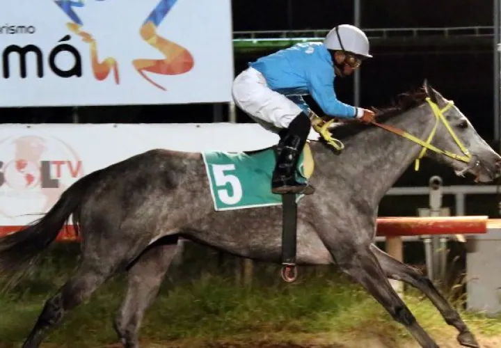 Cambios para la jornada de hoy en el hipódromo 