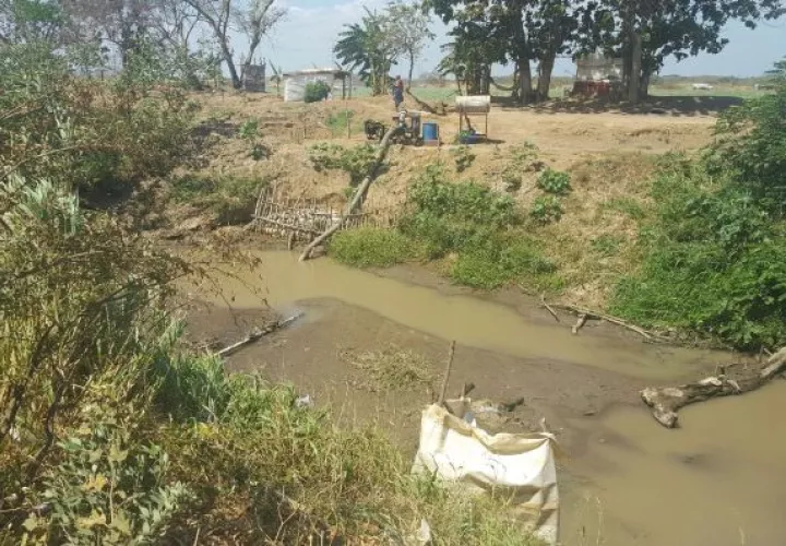 El tema del agua tiene desesperados a los cebolleros de Natá.  / Foto Elena Valdez