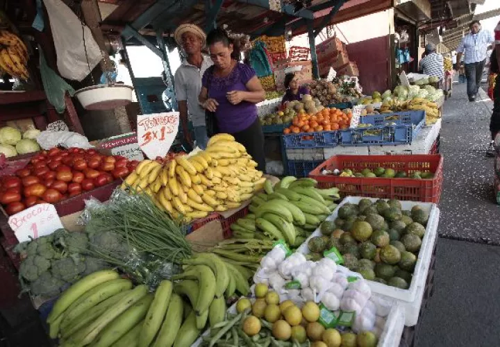 Gobierno  tiene abandonado sector agropecuario del país 