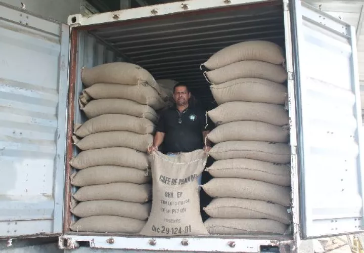 Los cambios de temperatura afectan la producción de café.  / José Vásquez